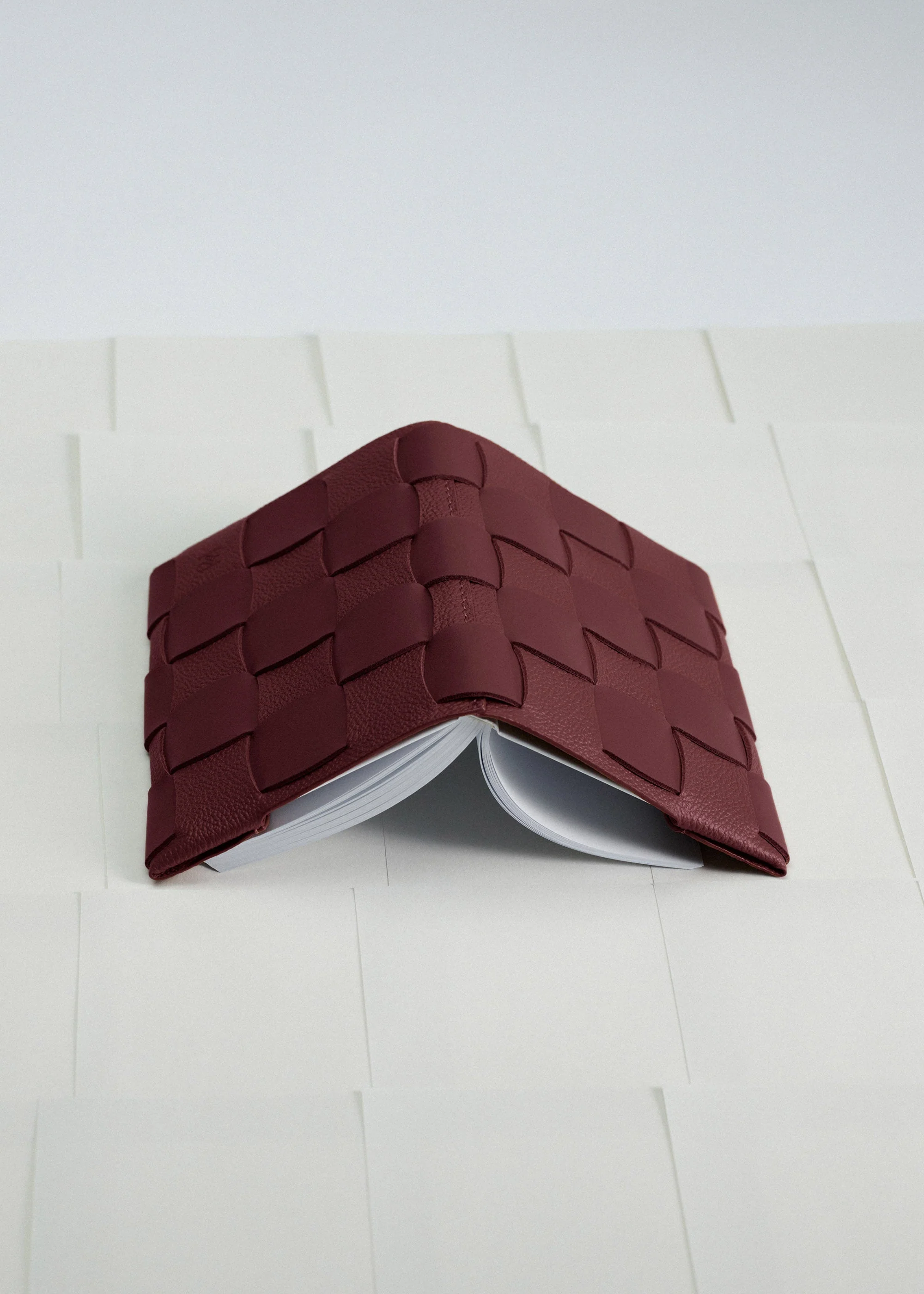 Miniaturebillede 2