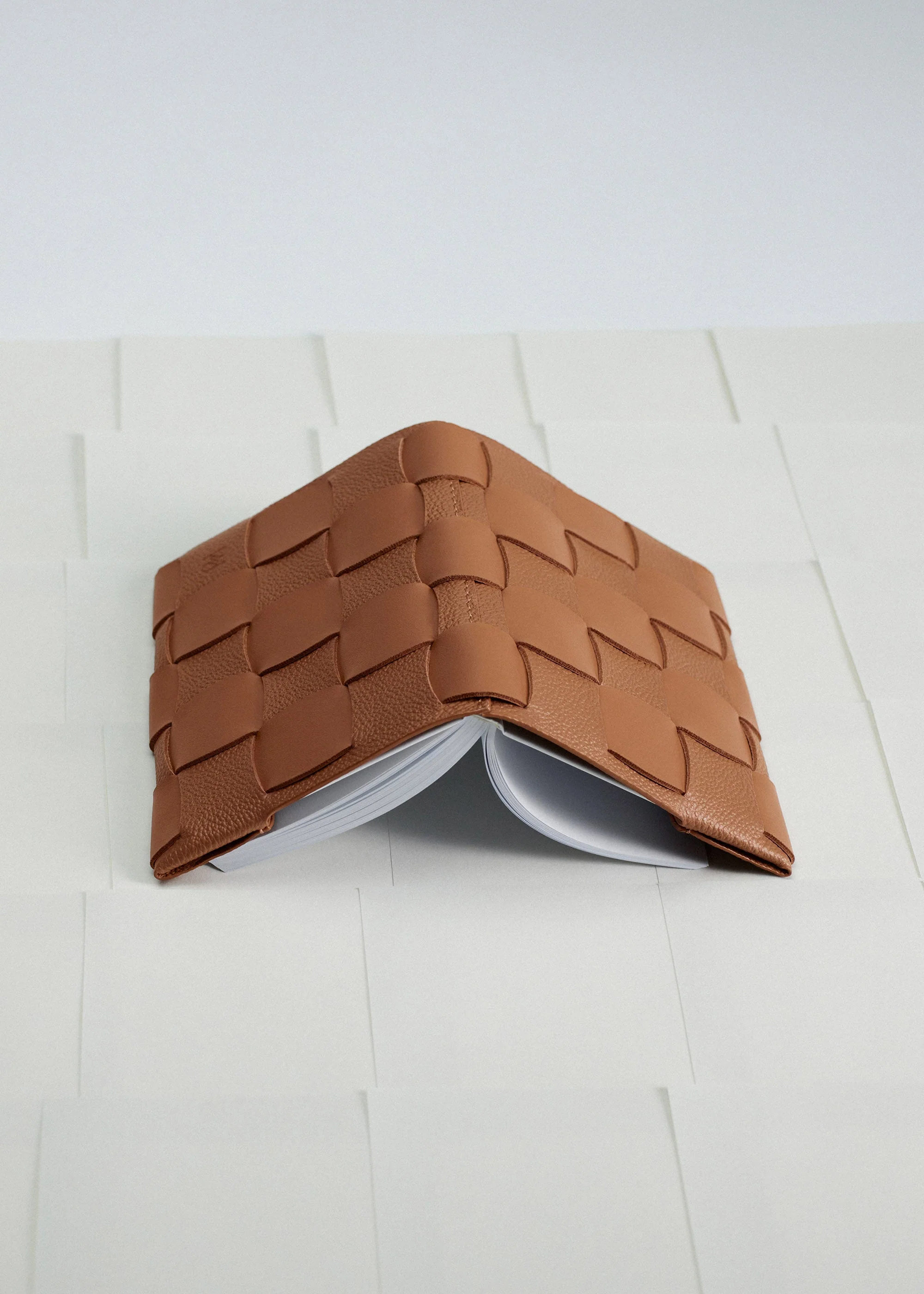 Miniaturebillede 2